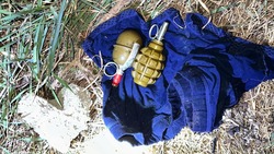 Две гранаты нашли на земельном участке в посёлке Предгорного округа